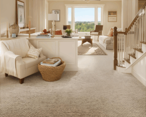Clean Home